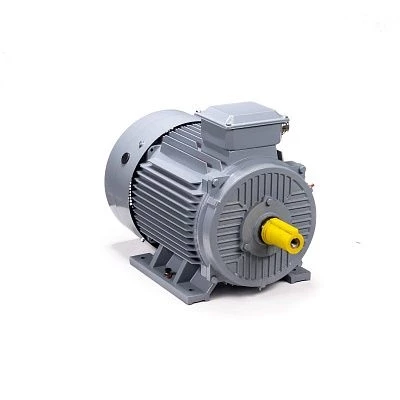 Эл.двигатель ESQ PR 225 M4 GST-Б1-S12-IE2 55/1500 IM 1001