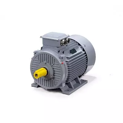 Эл.двигатель ESQ PR 225 M4 GST-Б1-S12-IE2 55/1500 IM 1001