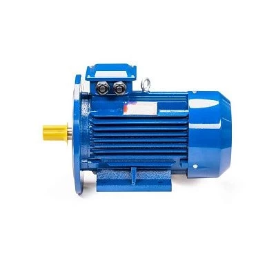 Эл.двигатель 5АИ 100 L2 5.5/3000 IM 2081