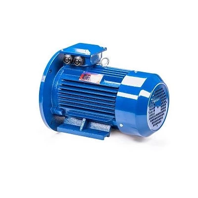 Эл.двигатель 5АИ 100 L2 5.5/3000 IM 2081