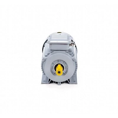 Эл.двигатель ESQ PR 80 В2 GST-Б1-S12-IE2 2.2/3000 IM 1081