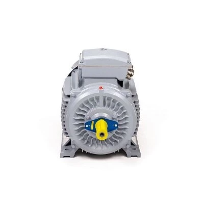 Эл.двигатель ESQ PR 315 S6-SDN-Б1-S12-IE2 90/1000 IM B3