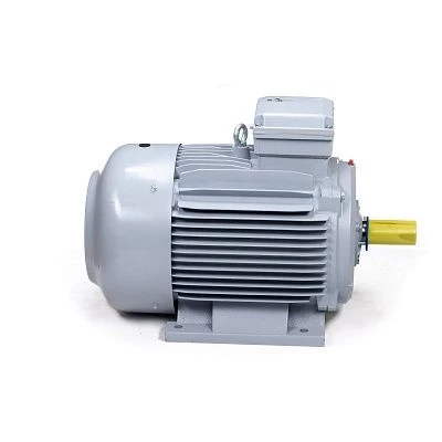 Эл.двигатель ESQ PR 315 S6-SDN-Б1-S12-IE2 90/1000 IM B3