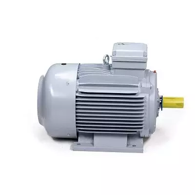 Эл.двигатель ESQ PR 315 S6-SDN-Б1-S32-IE2 90/1000 IM B3