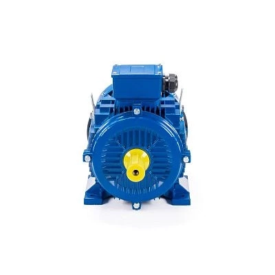 Эл.двигатель ESQ 100 LB2-SDN- 4/3000 IM B3