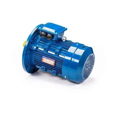 Эл.двигатель 5АИ 100 L2 5.5/3000 IM 3081