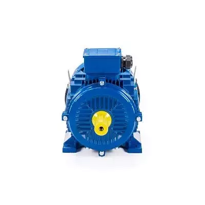 Эл.двигатель ESQ 315 M4-SDN- 132/1500 IM B3