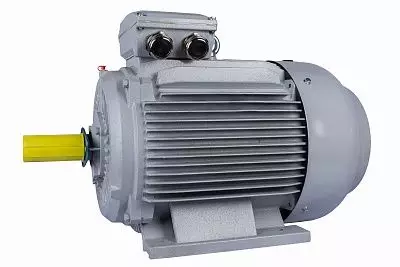 Эл.двигатель ESQ PR 280 S6-SDN-Б1-S12-IE2 45/1000 IM B3