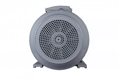 Эл.двигатель ESQ PR 280 S6-SDN-Б1-S12-IE2 45/1000 IM B3