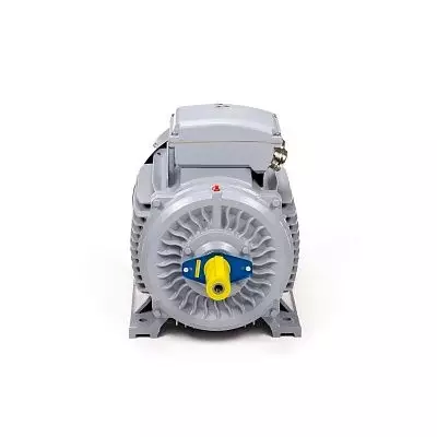 Эл.двигатель ESQ PR 280 M4-SDN-Б1-S12-IE3 90/1500 IM B3