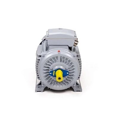 Редуктор подъема тали ESQ RW 3т (GBRW-30/68,95)