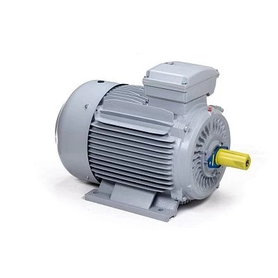 Эл.двигатель ESQ PR 315 S4-SDN-Б1-S32-IE2 110/1500 IM B3
