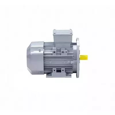 Эл.двигатель ESQ PR 90 S2-SDN-Б1-S12-IE2 1.5/3000 IM B35