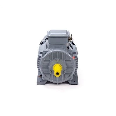 Эл.двигатель ESQ PR 160 S2 GST-Б1-S12-IE2 15/3000 IM 1001