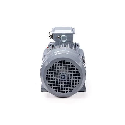 Эл.двигатель ESQ PR 160 S2 GST-Б1-S12-IE2 15/3000 IM 1001
