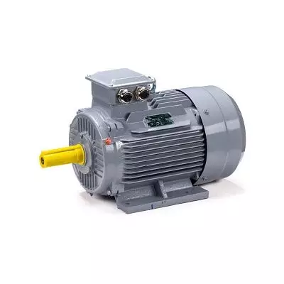 Эл.двигатель ESQ PR 160 S2 GST-Б1-S12-IE2 15/3000 IM 1001