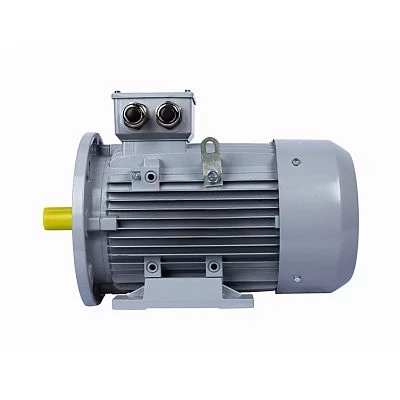 Эл.двигатель ESQ PR 100 LA2-SDN-Б1-S12-IE3 3/3000 IM B35