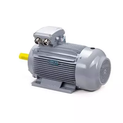 Эл.двигатель ESQ PR 160 M6 GST-Б1-S12-IE2 15/1000 IM 2001