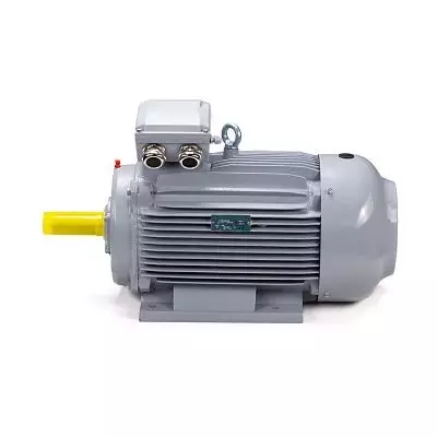 Эл.двигатель ESQ PR 160 M6 GST-Б1-S12-IE2 15/1000 IM 2001