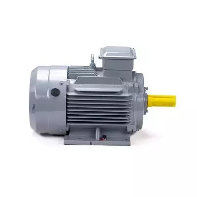 Эл.двигатель ESQ PR 160 S4 GST-Б1-S12-IE2 15/1500 IM 2001