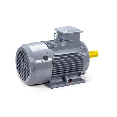 Эл.двигатель ESQ PR 160 S4 GST-Б1-S12-IE2 15/1500 IM 2001