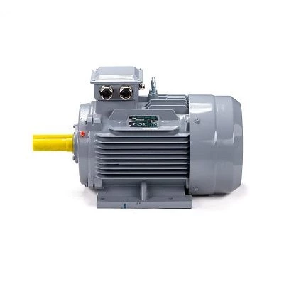 Эл.двигатель ESQ PR 160 S4 GST-Б1-S12-IE2 15/1500 IM 2001