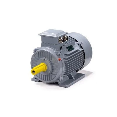 Эл.двигатель ESQ PR 160 S4 GST-Б1-S12-IE2 15/1500 IM 2001